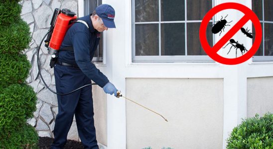Çekmeköy Gümüşkurt İlaçlama böcek ilaçlama ve haşere kontrolü — ilaclama-tr.com